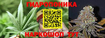 бошки Пыть-Ях